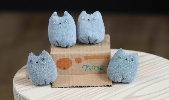 ダンボールハウスに集うちび猫たち① ダンボールハウスに集うちび猫たち①の写真