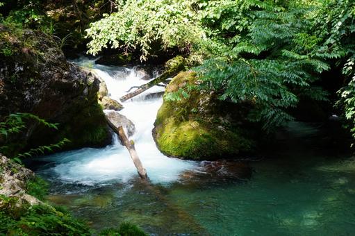 森の中の美しい川 森の中の美しい川 川,渓流,緑の写真素材
