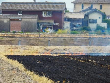 野焼きされる田んぼ 野焼きされる田んぼ 野焼き,田,燃やすの写真素材