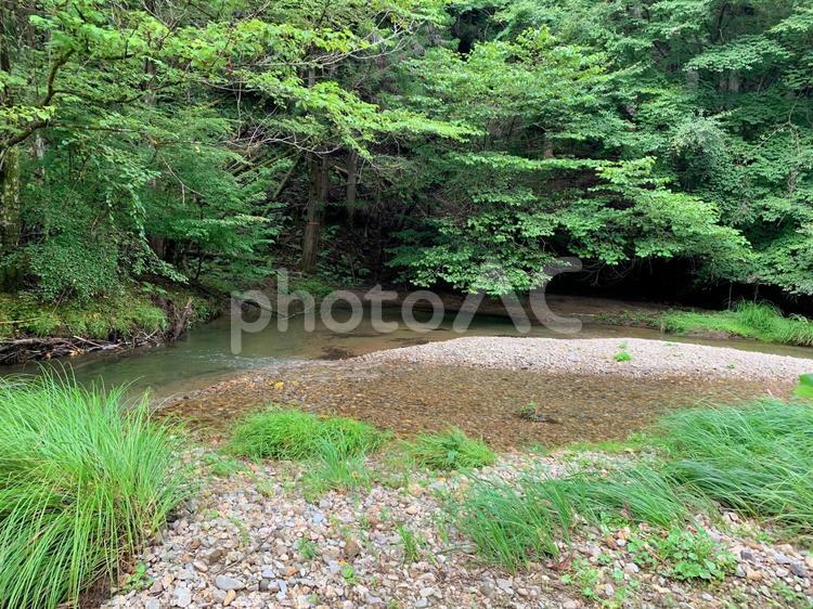 グリーンいっぱいの河原 川,川原,河原の写真素材
