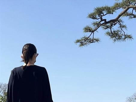 公園を歩く女性と松の木。青空 公園を歩く女性と松の木。青空 大空,通勤,働く女性の写真素材