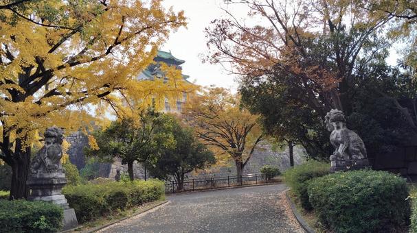 大阪城公園の狛犬と紅葉 紅葉,黄色,狛犬の写真素材