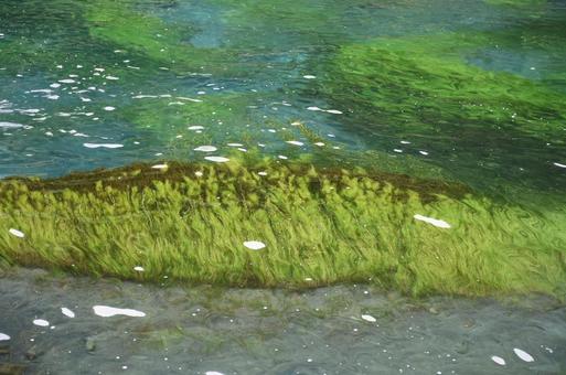 透き通る湖 透き通る湖の写真