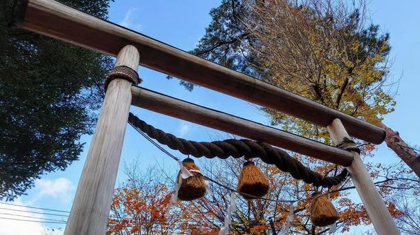 伊香保神社 伊香保神社 伊香保神社,神社,鳥居の写真素材