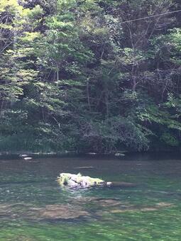 川の風景 川の風景の写真