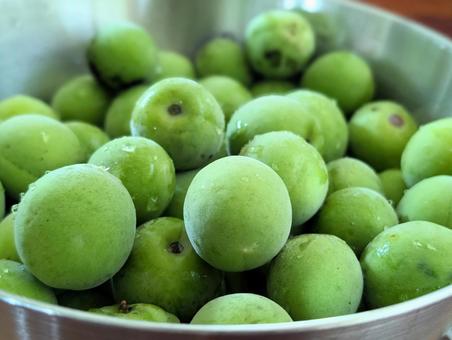 Green plums in a bowl, JPG Green plums in a bowl, JPG