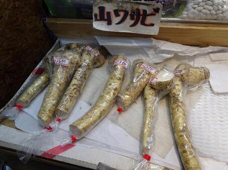 山わさび 山わさび,ホースラディッシュ,西洋わさびの写真素材