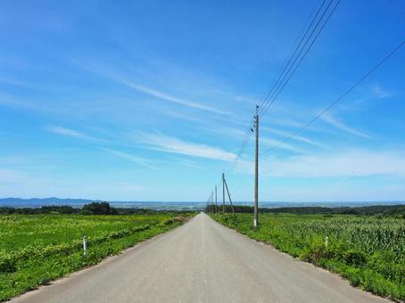 夏の景色41 夏の景色41の写真