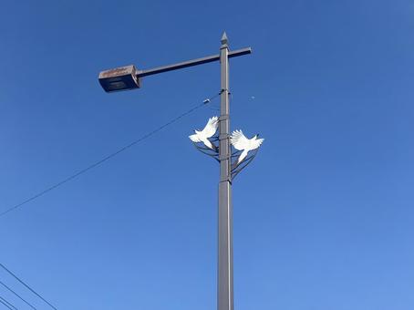 白鳩の街灯 白鳩の街灯 街灯,白鳩,白鳩の街灯の写真素材