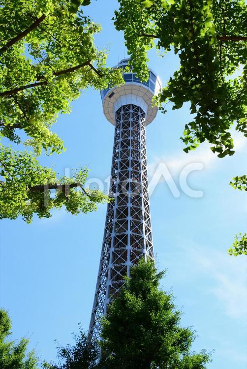 爽やかな日 横浜マリンタワー,横浜,マリンタワーの写真素材