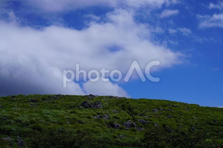 自然の風景 自然,平尾台,風景の写真素材