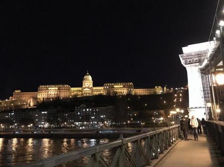 夜のブダ城 城,ブダペスト,建築の写真素材