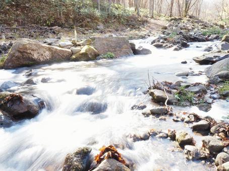 渓流の写真