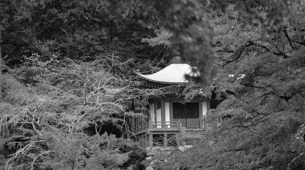 美しきモノクロの世界 醍醐寺 美しきモノクロの世界 醍醐寺 秋,京都,醍醐寺の写真素材
