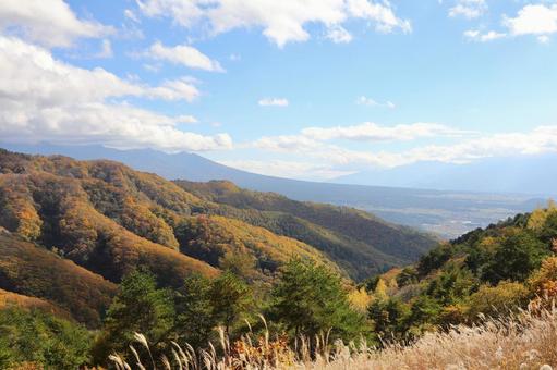 紅葉の車山高原 紅葉の車山高原 山,自然,寒いの写真素材