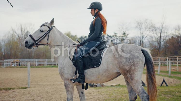 白馬に乗る女性騎手 馬,白馬,白の写真素材