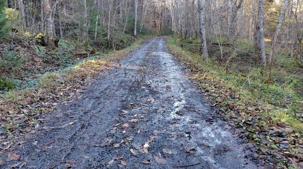 雨上がりの後 道路,砂利道,地面の写真素材