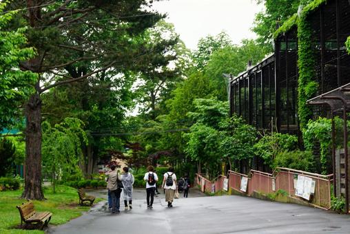自然の中を散歩 自然の中を散歩 ウオーキング,人物,景色の写真素材