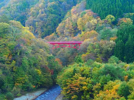 紅葉・松川渓谷高井橋 紅葉・松川渓谷高井橋 紅葉,松川,渓谷の写真素材