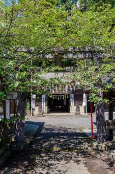 伊達神社⑽ 伊達神社⑽の写真