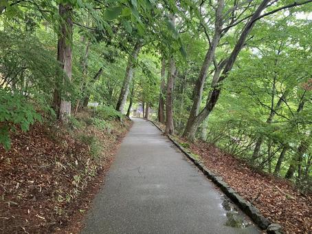 英国大使館別荘記念公園の公園風景 英国大使館別荘記念公園の公園風景の写真