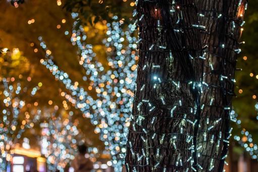 クリスマスのイルミネーション クリスマス,イルミネーション,ライトアップの写真素材