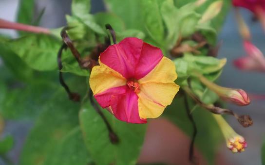 カラフルな夕方 カラフルな夕方の写真