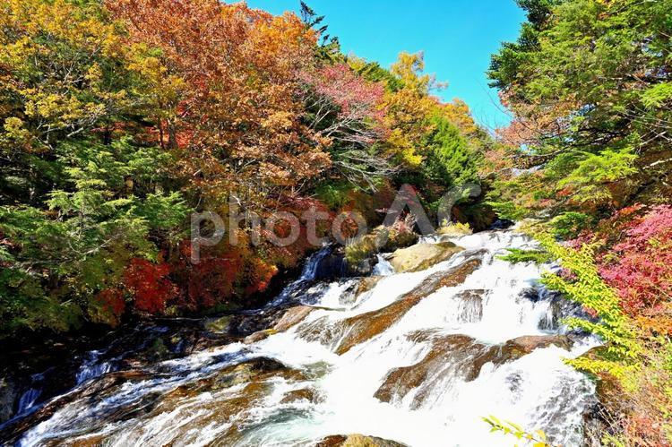 紅葉の竜頭の滝（栃木日光） 秋,紅葉,滝の写真素材