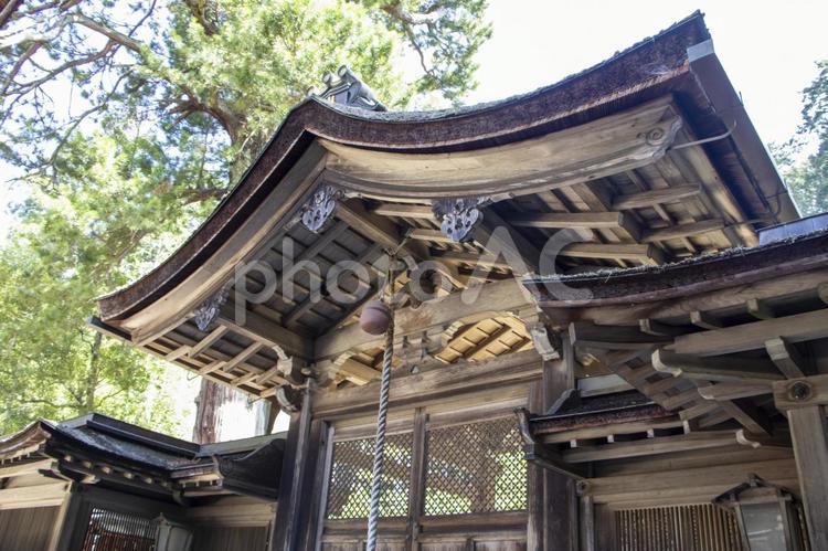 油日神社 拝殿 油日神社,拝殿,社寺の写真素材
