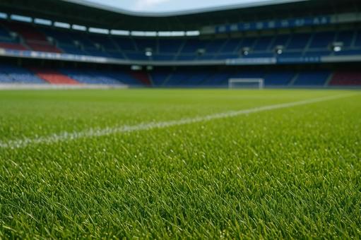 プロサッカーの芝生ピッチ プロサッカーの芝生ピッチの写真