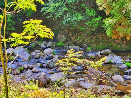 山中を流れる川 山中を流れる川の写真