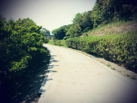 その先 その先の写真
