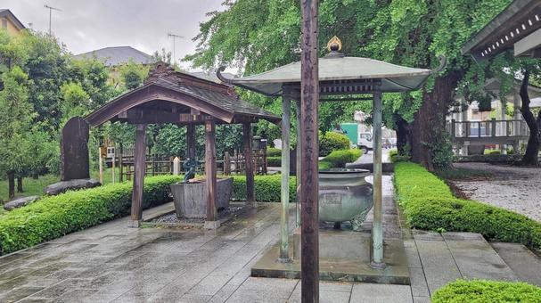 坂東33観音 08番 星谷寺 雨天の境内 坂東33観音 08番 星谷寺 雨天の境内 星谷寺,妙法山,参道の写真素材