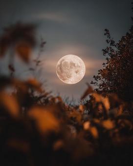 オレンジに光る秋の月の写真