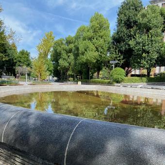 教育の森公園 教育の森公園 教育の森公園,茗荷谷,文京区の写真素材