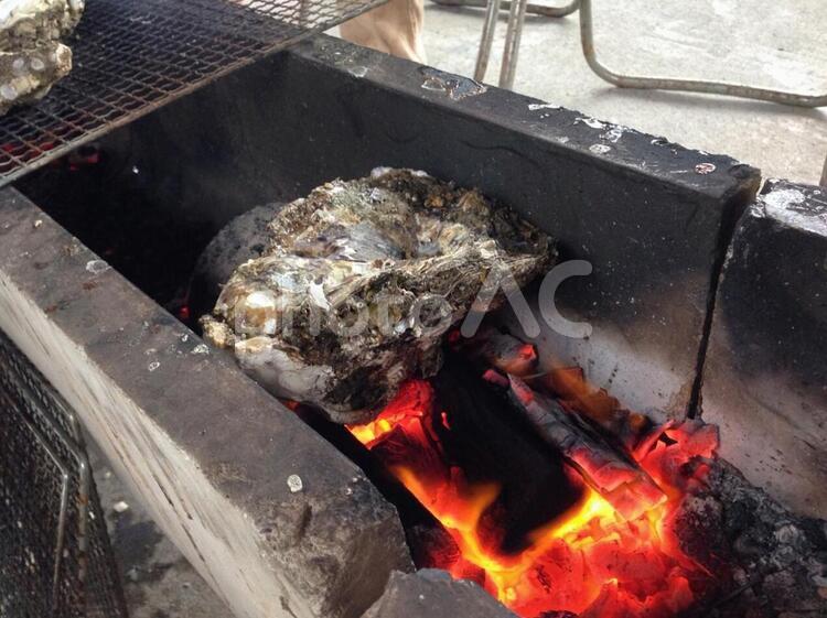 岩牡蠣　浜焼き 牡蠣,浜焼き,牡蠣殻の写真素材
