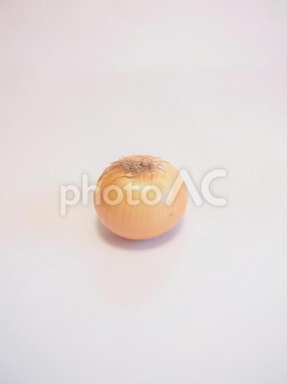 たまねぎ たまねぎ,タマネギ,玉ねぎの写真素材
