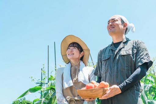 農業・農家・家庭菜園をする男女(野菜) 農業・農家・家庭菜園をする男女(野菜) 農業,農家,家庭菜園の写真素材