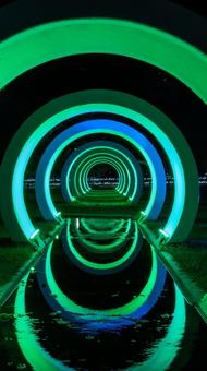 ゆりの里公園ライトアップ ゆりの里公園,福井県,ライトアップの写真素材