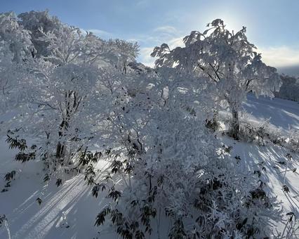 Snow Mountain, JPG