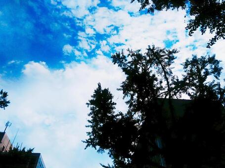 空と雲 空と雲の写真