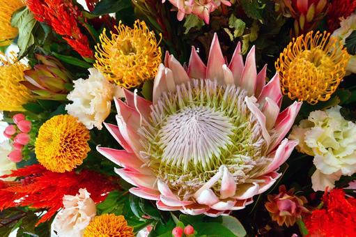 キングプロテアなど花たくさんの写真