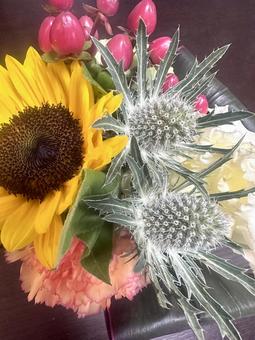 ひまわりの花束 ひまわりの花束 ひまわり,黄色,ピンクの写真素材
