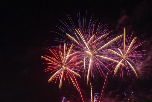 Beautiful purple-red fireworks dancing in the night sky, JPG Beautiful purple-red fireworks dancing in the night sky, JPG