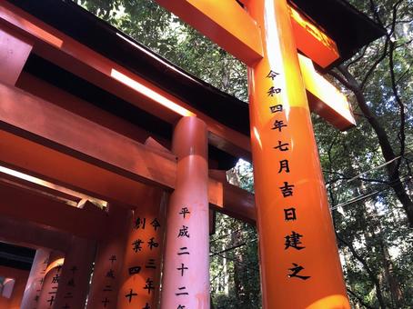 伏見稲荷大社の朱塗りの鳥居（京都府） 伏見稲荷大社,伏見稲荷,千本鳥居の写真素材