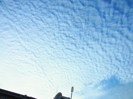 照片, 羊雲, 鱗雲, 天空, 