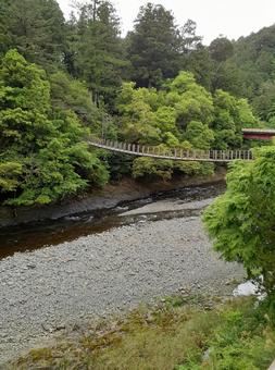 川と橋 自然,川,橋の写真素材