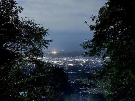 大倉高原キャンプ場からの夜景 大倉高原キャンプ場からの夜景の写真