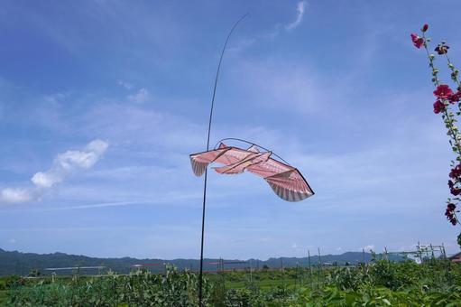 鳥よけカイト(鷹)13 鳥よけカイト(鷹)13の写真