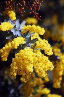 カラノラ８ 風景,春,背景の写真素材